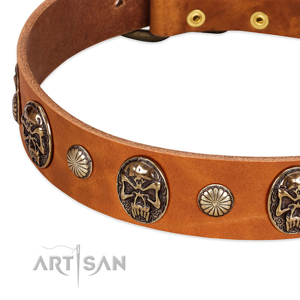 Rust resistant D-ring on genuine leather dog collar for your four-legged friend