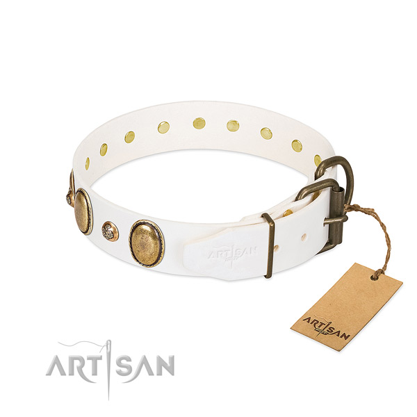 Daily walking full grain natural leather dog collar