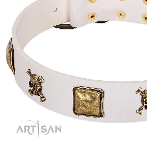 Extraordinary natural leather dog collar with durable adornments
