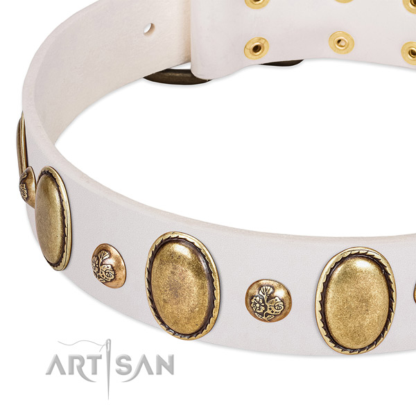 Leather dog collar with extraordinary embellishments