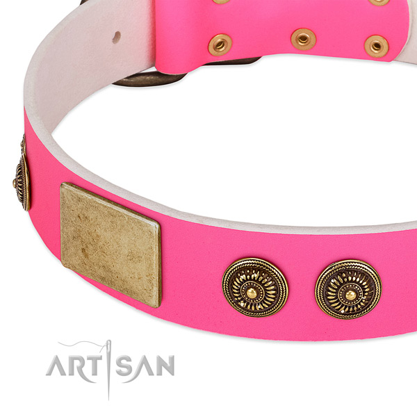 Easy adjustable dog collar made for your beautiful doggie