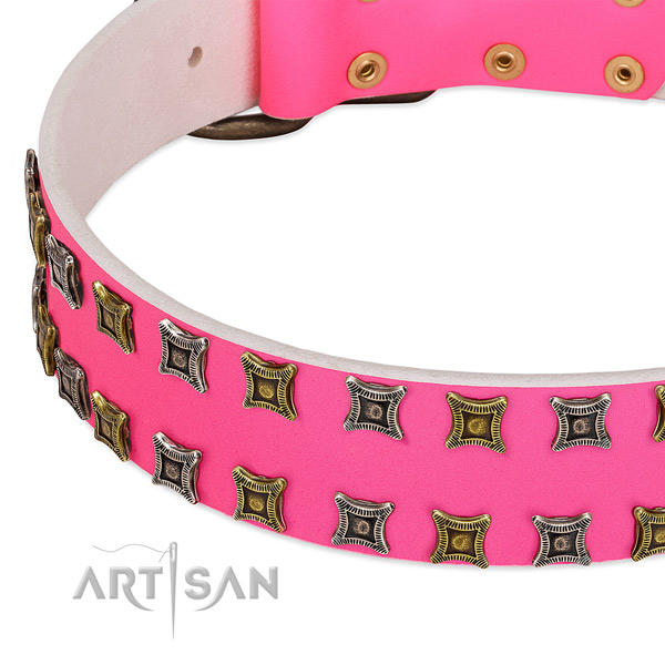 Full grain natural leather dog collar with adornments for your attractive pet