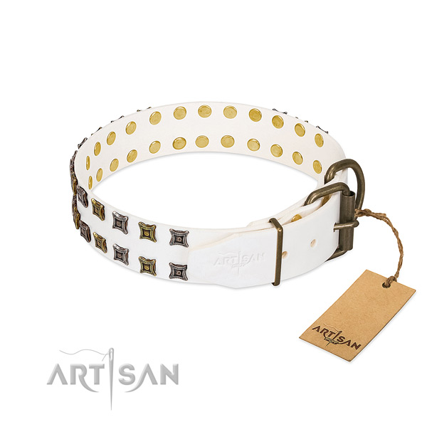 Natural leather collar with unique studs for your pet