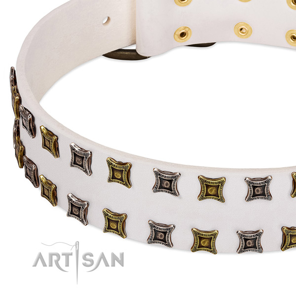 Soft full grain natural leather dog collar for your impressive four-legged friend