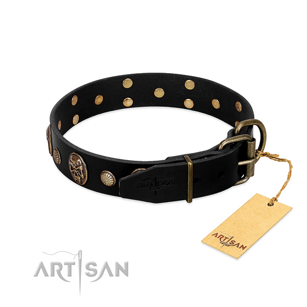 Corrosion proof traditional buckle on natural leather collar for fancy walking your pet