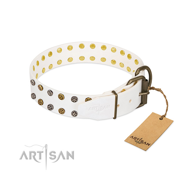 Full grain natural leather collar with stylish design embellishments for your doggie