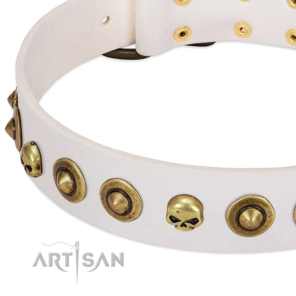 Exceptional decorations on leather collar for your pet