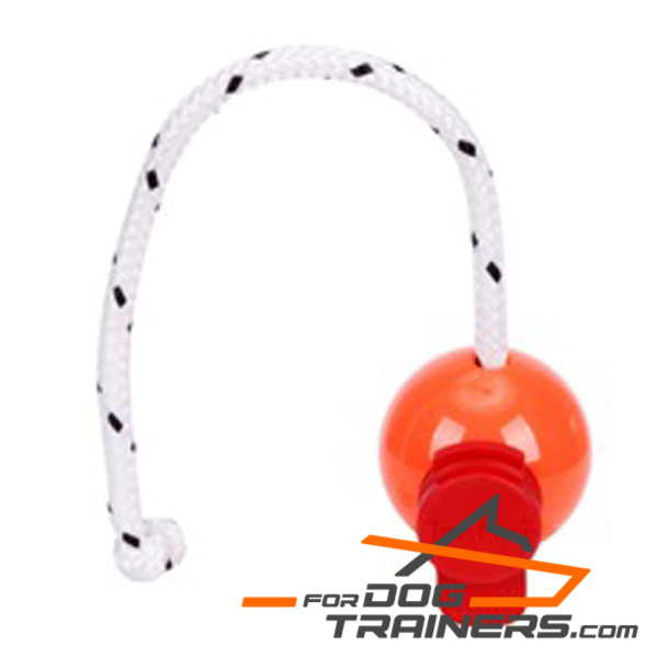Dog orange ball on rope for training