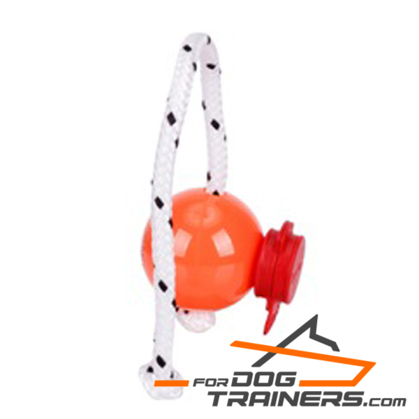 Magnetic orange ball for dog 