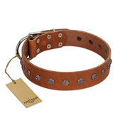 "Daintiness" Designer Handmade FDT Artisan Tan Leather dog Collar with Silver-Like Adornments