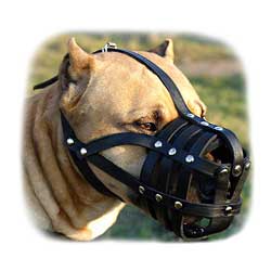 Gorgeous Comfort Padde Leather K9 Dog Muzzle