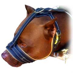 Nose Open Comfortable Nappa Padded Leather K9 Dog  Muzzle