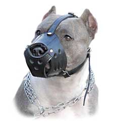 K9 (Canine) Dog Breeds Light Leather Muzzle Easy  Training