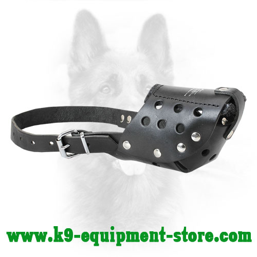 Leather Canine Muzzle with Easily Adjustable One Strap