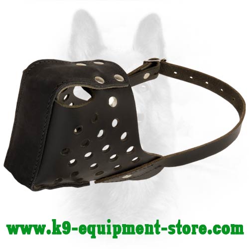 Canine Leather Dog Muzzle Padded in Nose Area