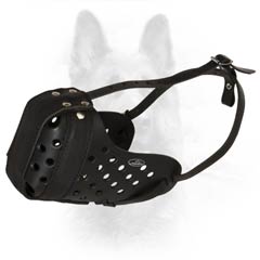 Canine Dog Breeds Leather Padded Comfy Muzzle