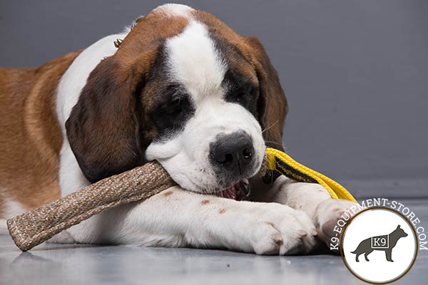 Moscow Watchdog bite tug of lightweight material with handle for better comfort