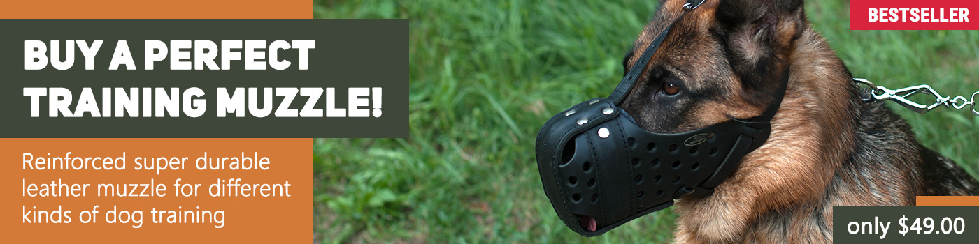 muzzle training for reactive dogs muzzle training for reactive dogs
