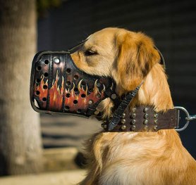 Purchasing the Right Muzzle for your Dog